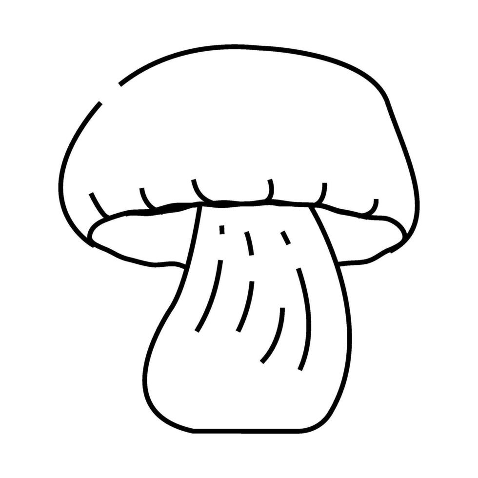 cep mushroom line icon illustration vector