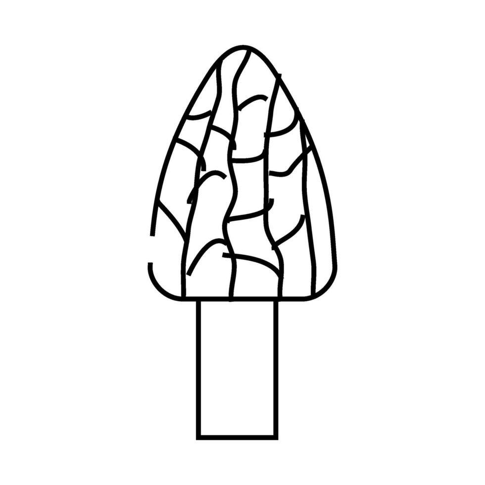 morel mushroom line icon illustration vector