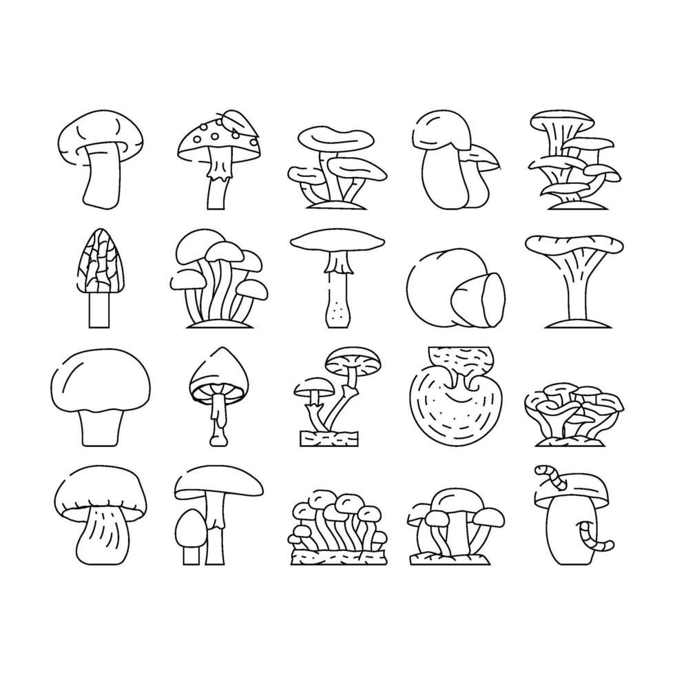 Mushroom Vegetable And Fungus Icons Set vector