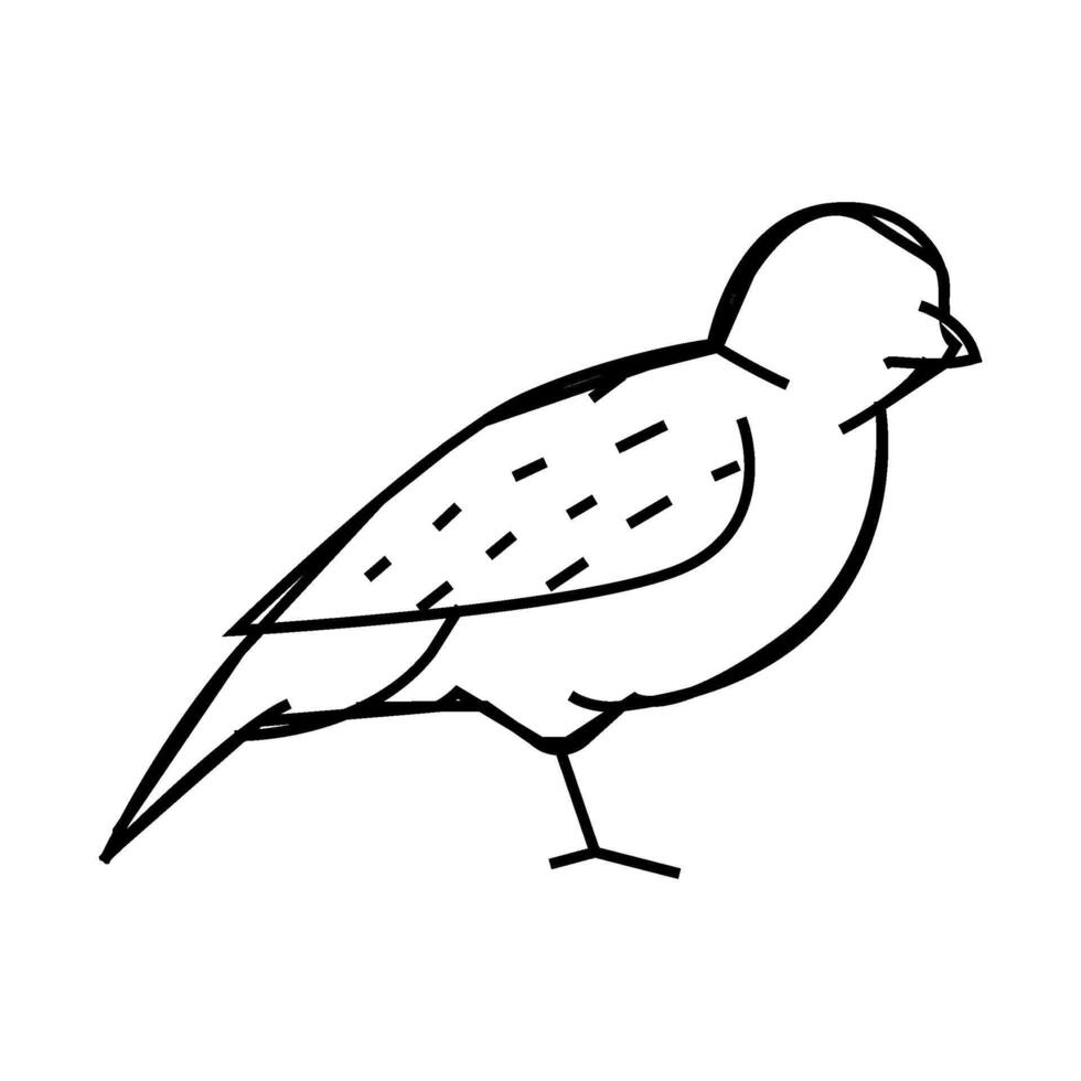 sparrow bird line icon illustration vector