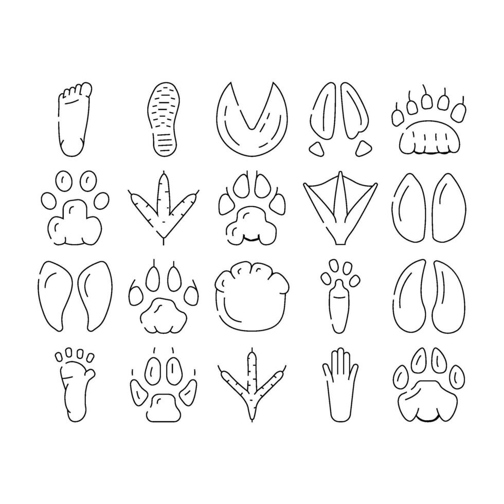 Hoof Print Animal, Bird And Human Shoe Set vector