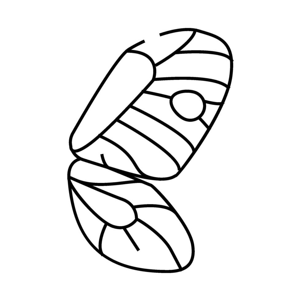 butterfly wing line icon illustration vector
