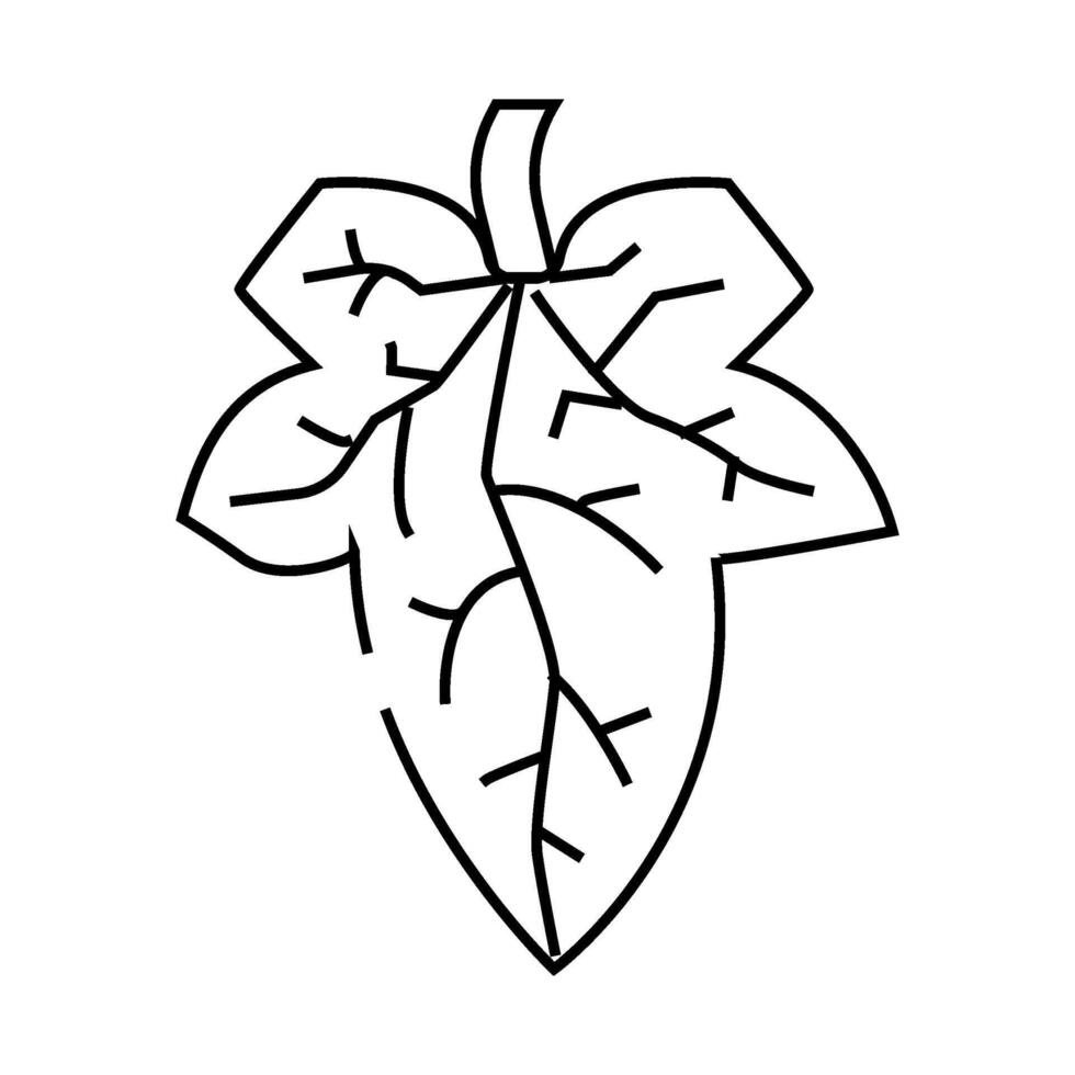 cucumber leaf line icon illustration vector