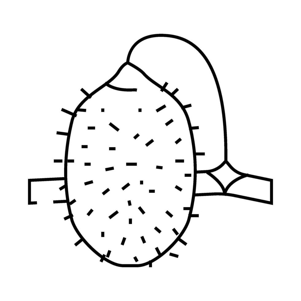 cucumber anguria line icon illustration vector