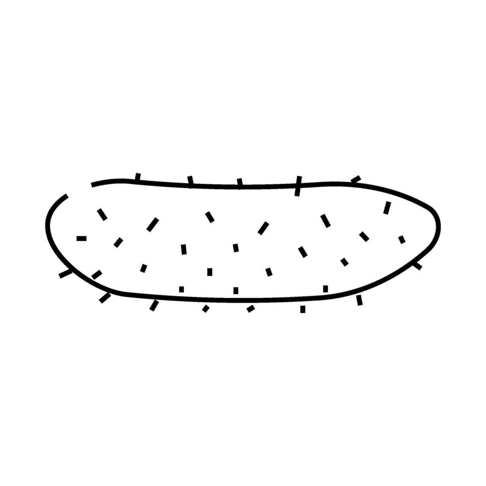 gherkin gherkin line icon illustration vector