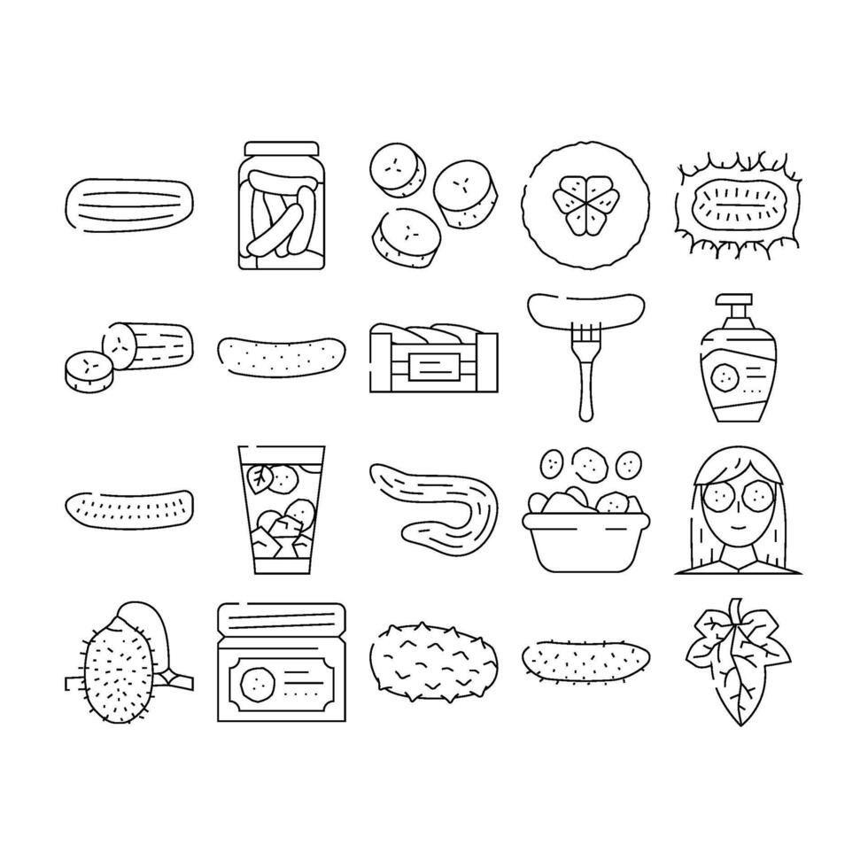 cucumber slice vegetable green icons set vector