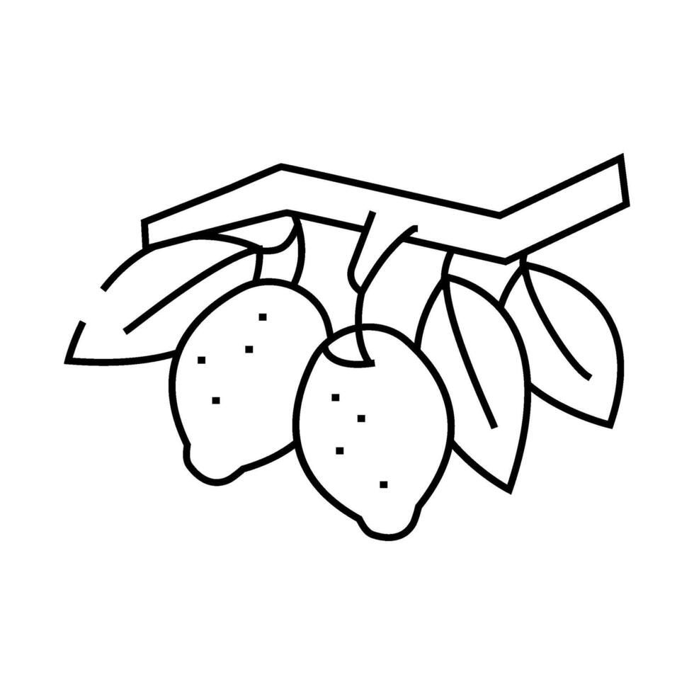 branch lemon plant line icon illustration vector