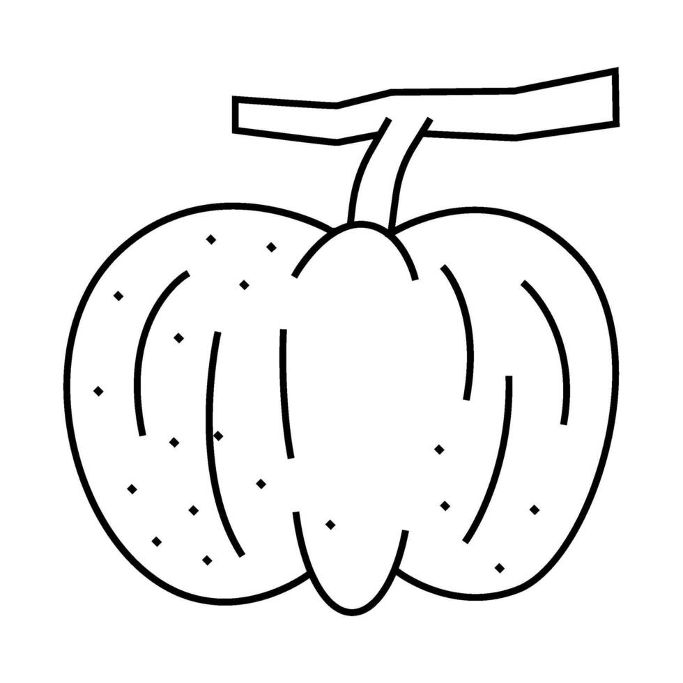 limetta sweet lemon line icon illustration vector