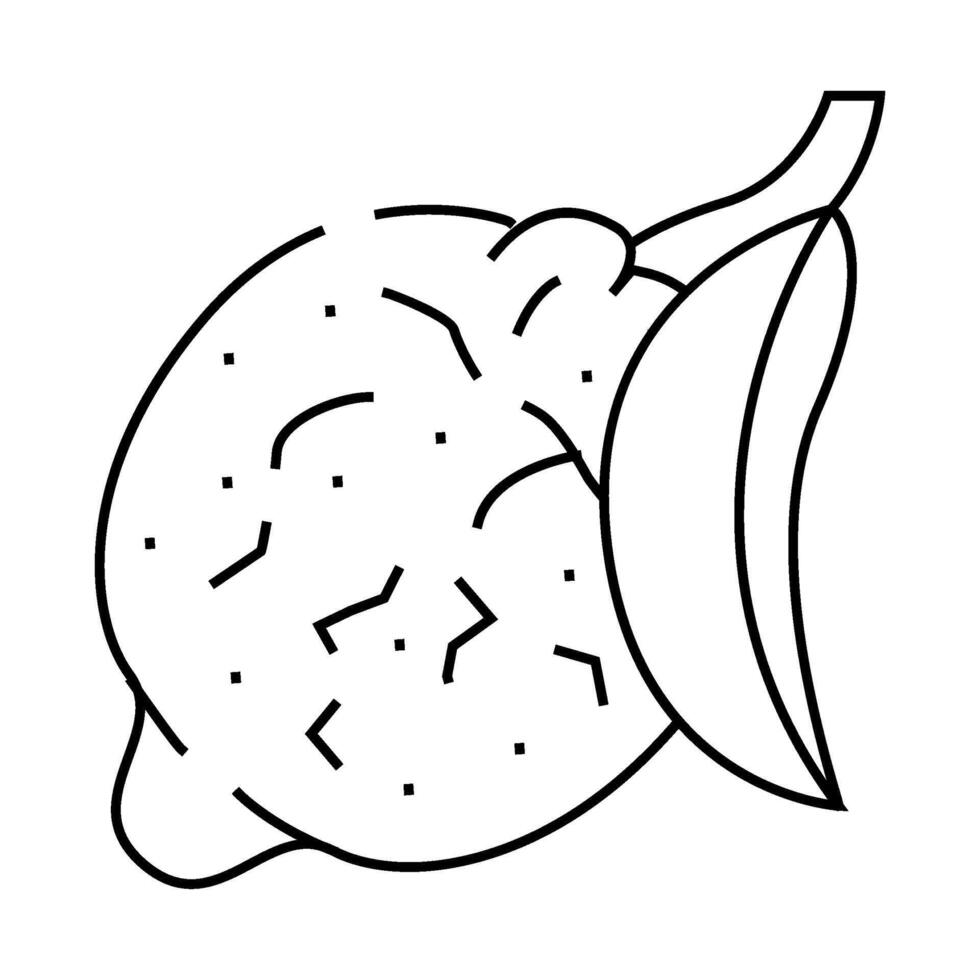 tsitron maxima line icon illustration vector