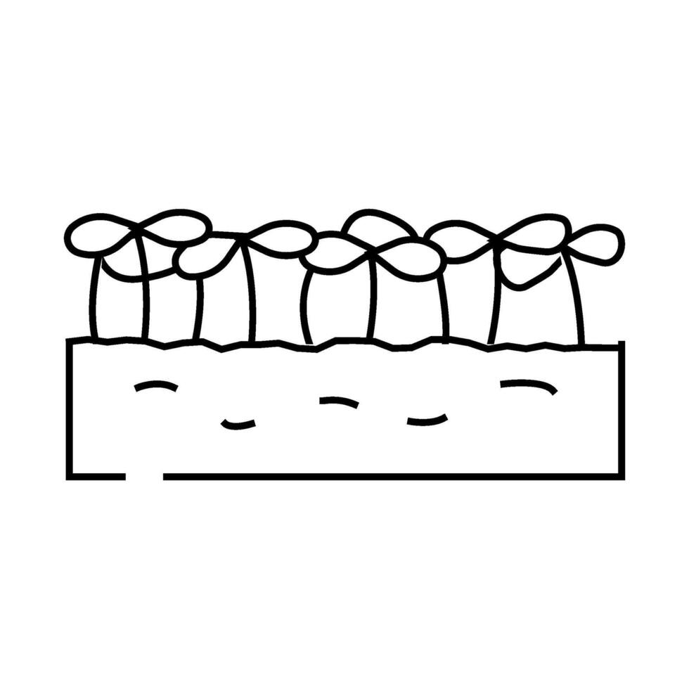 seedlings lettuce plant line icon illustration vector