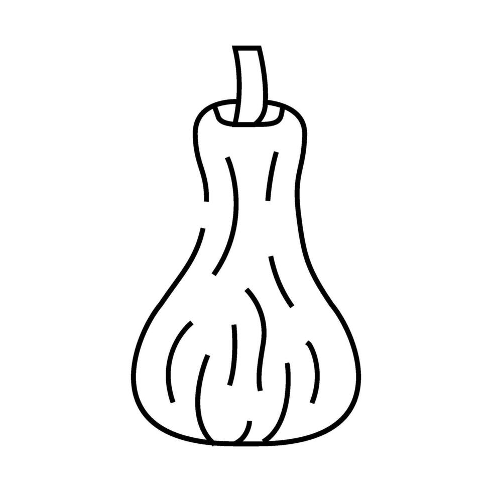 pumpkin food ripe line icon illustration vector