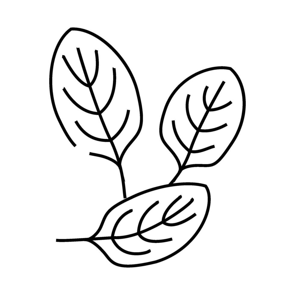 spinach green line icon illustration vector