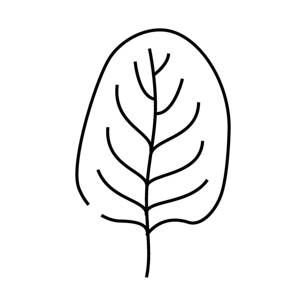 spinach leaf line icon illustration vector