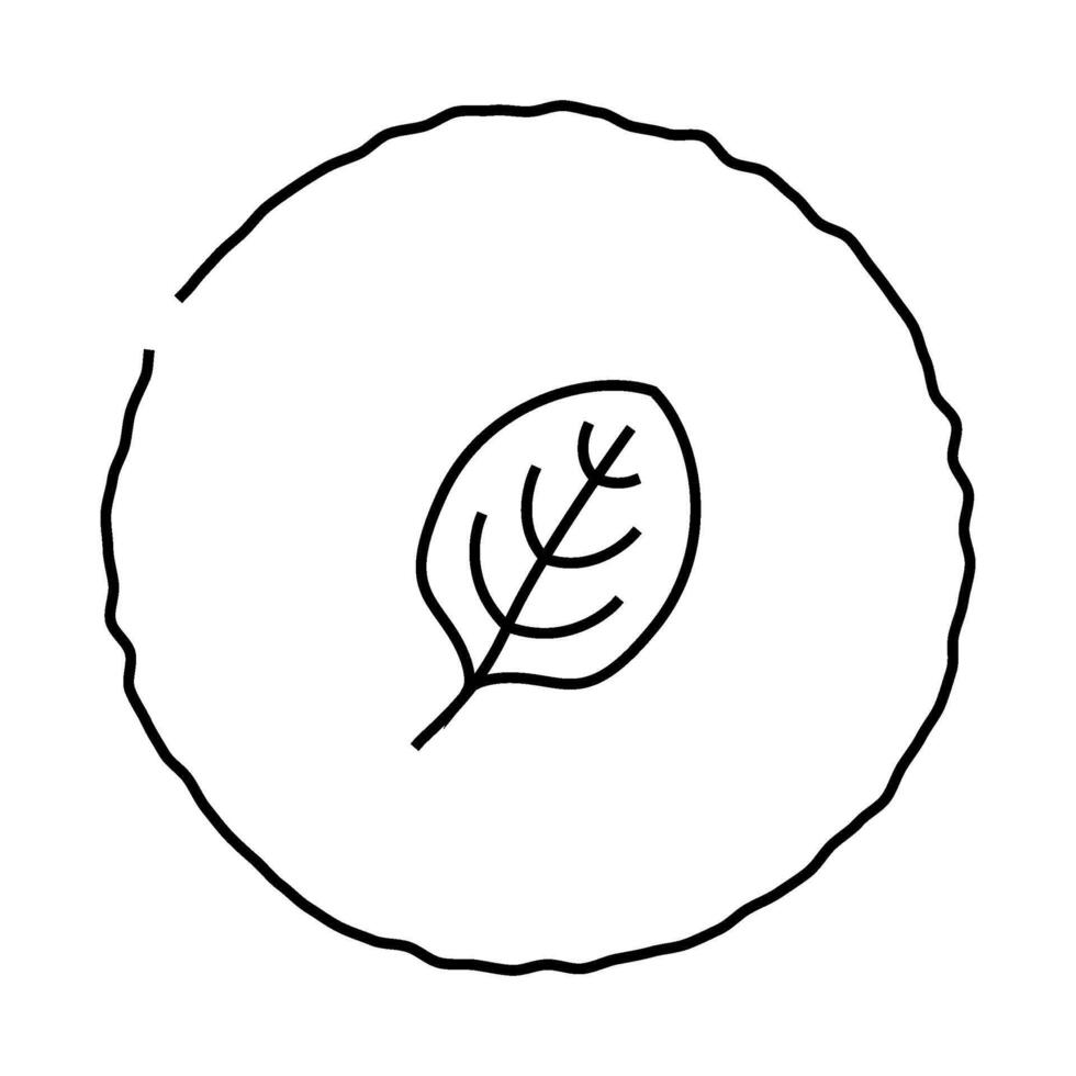tortilla spinach line icon illustration vector