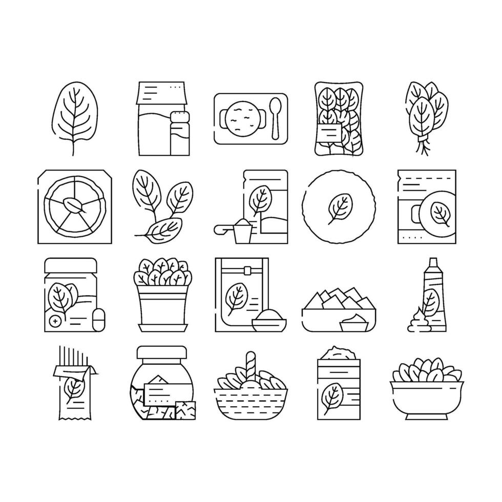 spinach leaf salad green food icons set vector