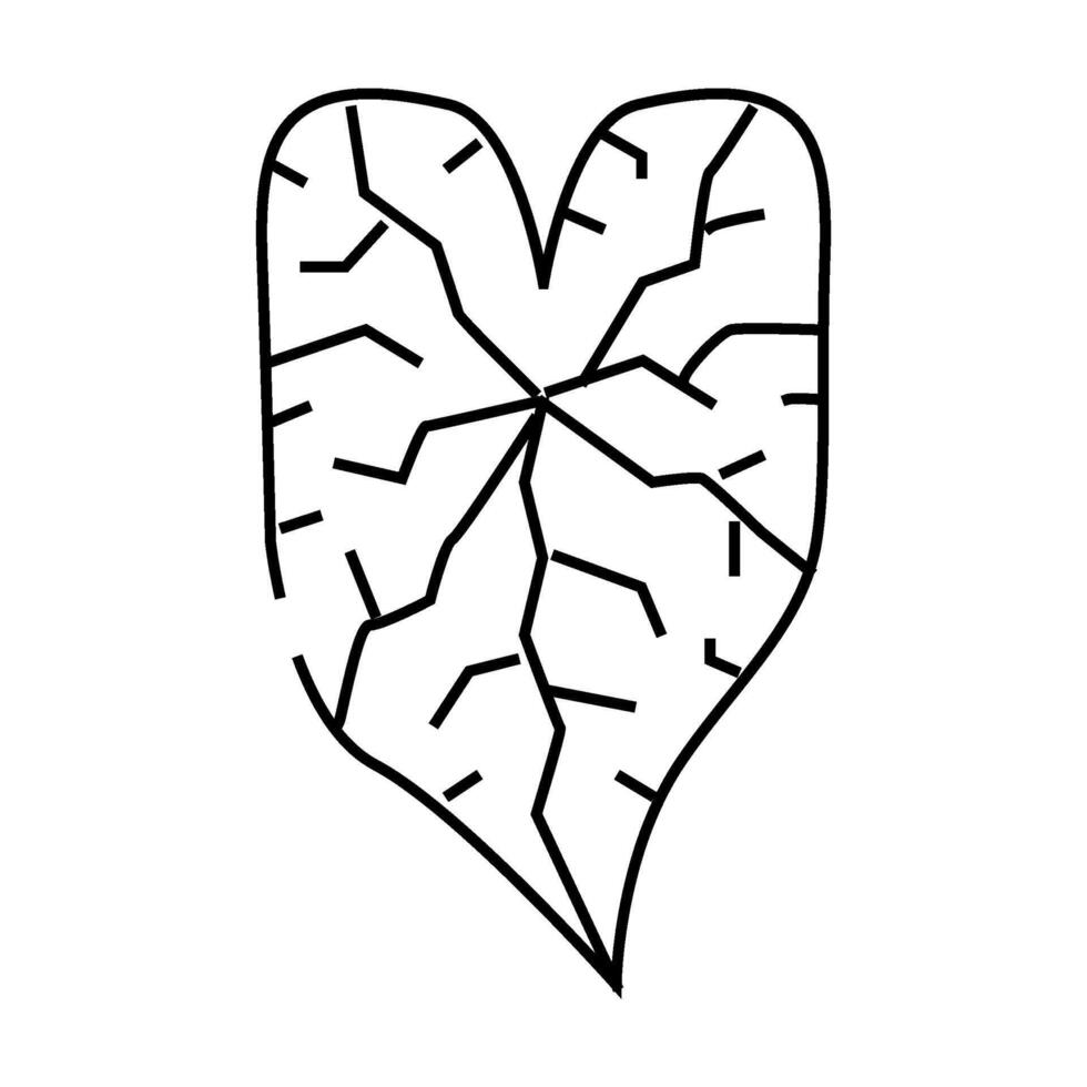 caladium tropical leaf line icon illustration vector