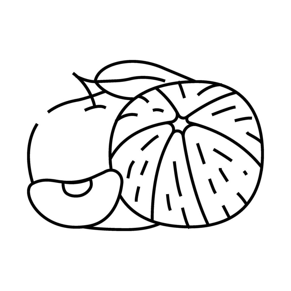 bunch tangerine line icon illustration vector