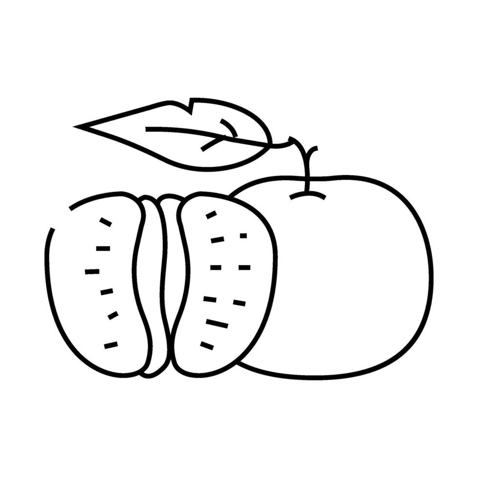 cut tangerine leaf line icon illustration vector