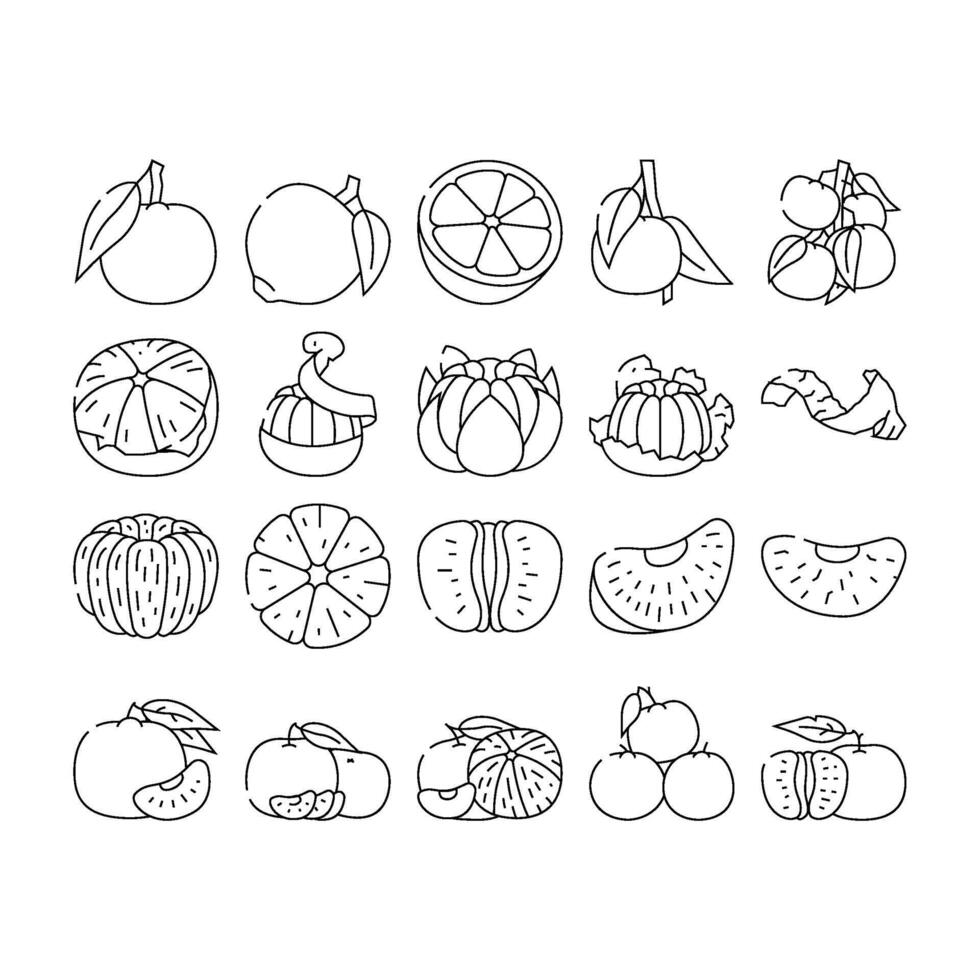 mandarin citrus fruit icons set vector