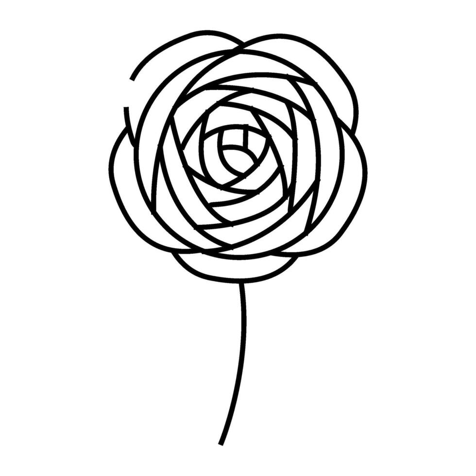 ranunculus flower spring line icon illustration vector