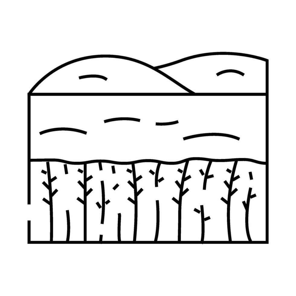 field yellow ripe wheat line icon illustration vector