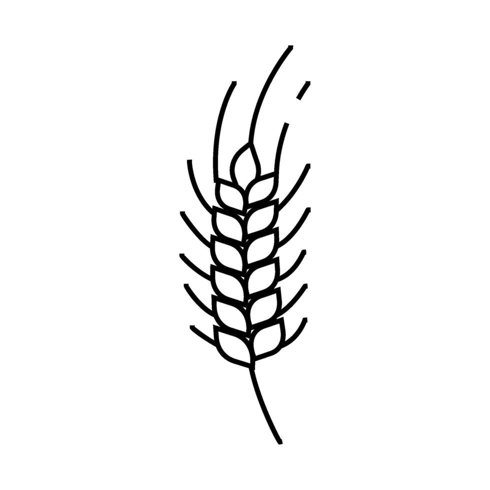 plant green wheat line icon illustration vector