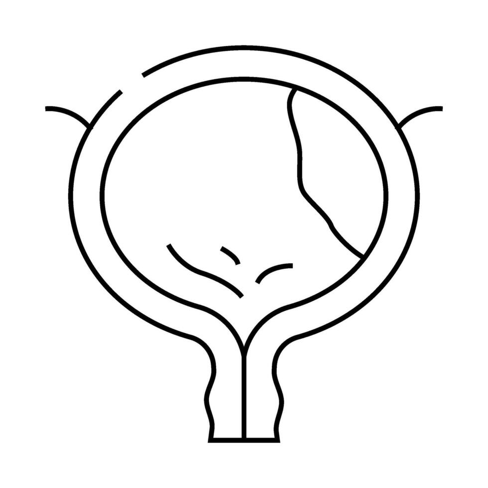 bladder cancer line icon illustration vector