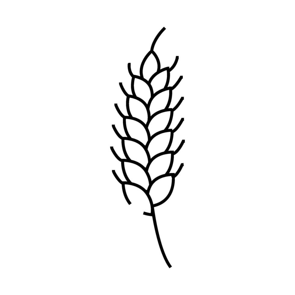 plant ripe yellow wheat line icon illustration vector