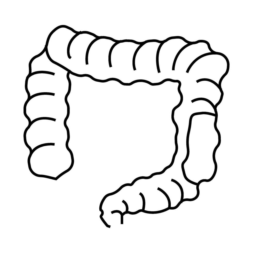 colon rectal cancer line icon illustration vector