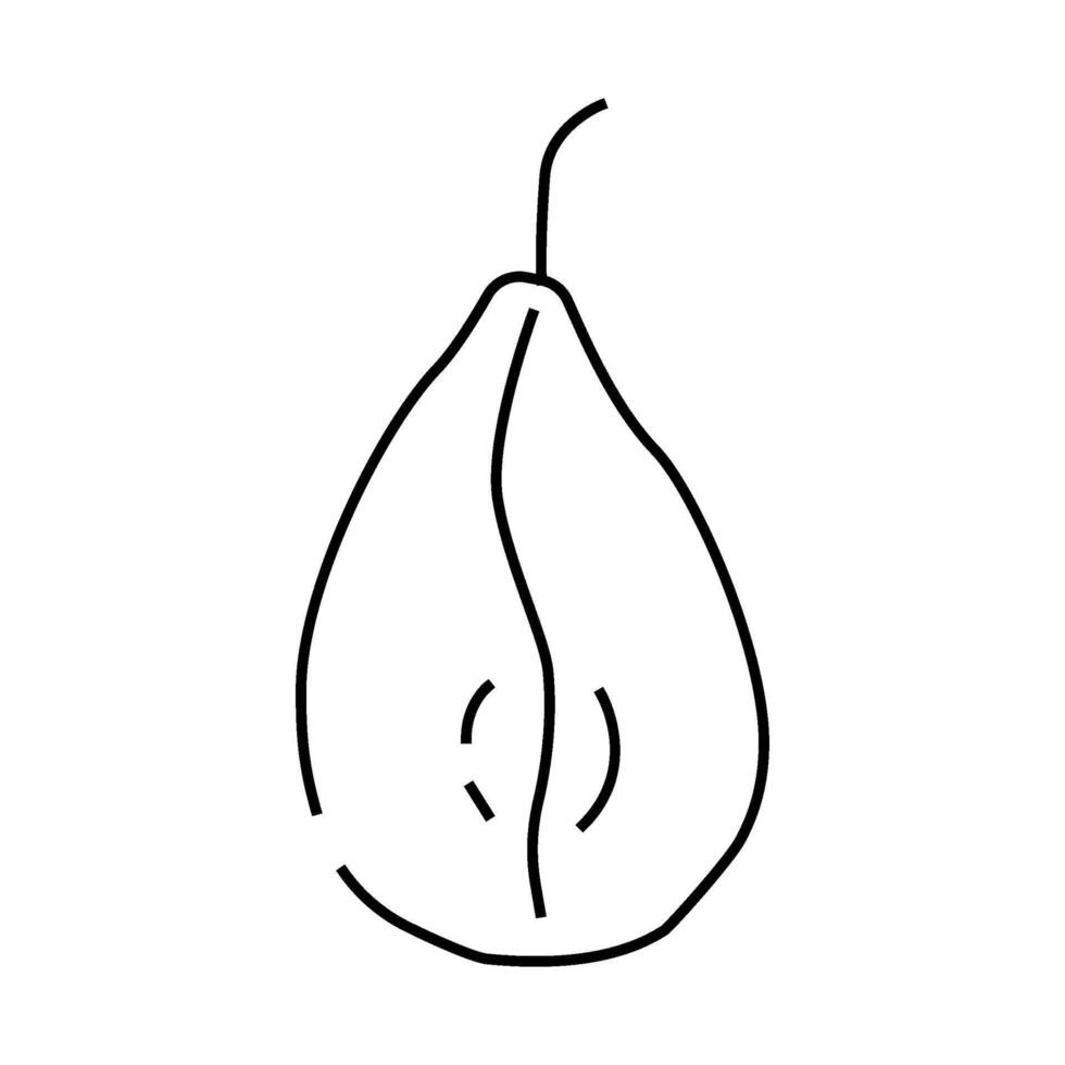 pear dried fruit line icon illustration vector