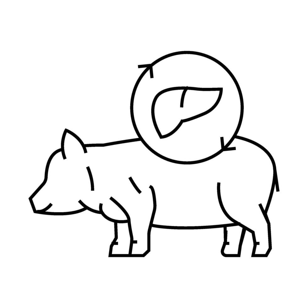 xenotransplantation future technology line icon illustration vector
