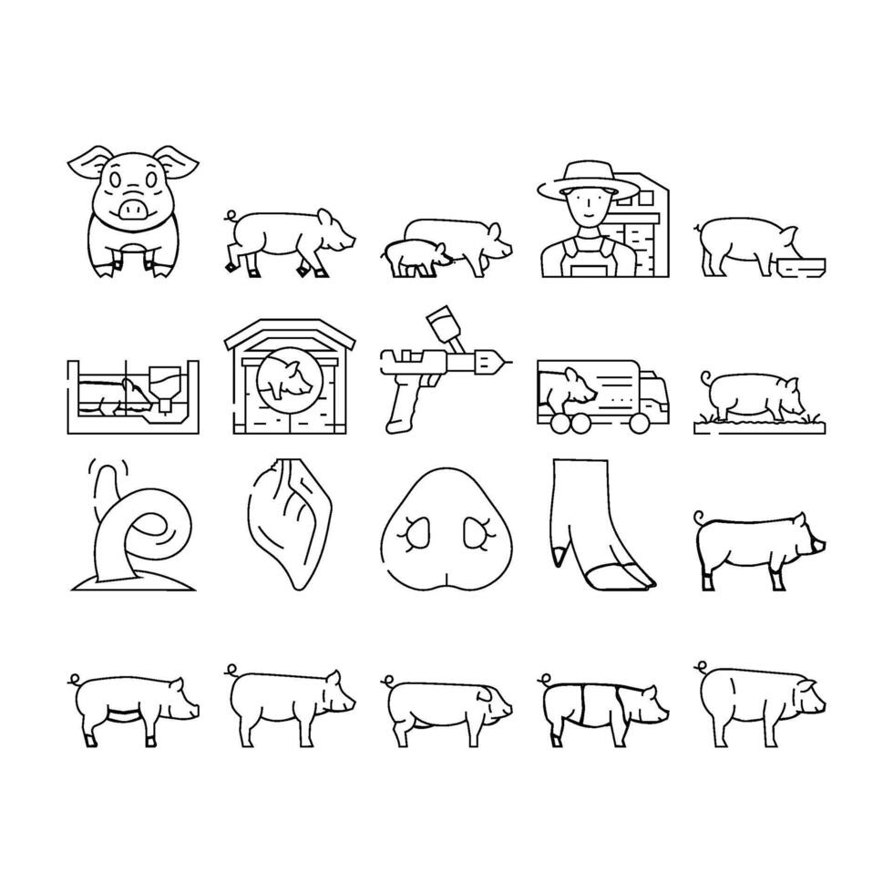 pig pork farm icons set vector