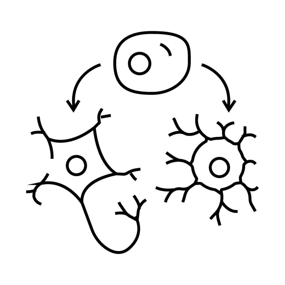 neurogenesis neuroscience neurology line icon illustration vector