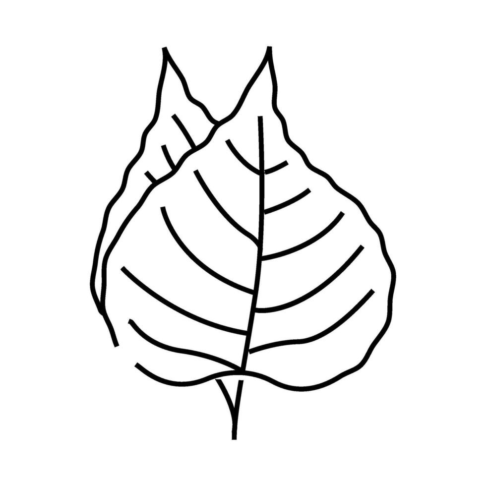 bodhi leaf buddhism line icon illustration vector
