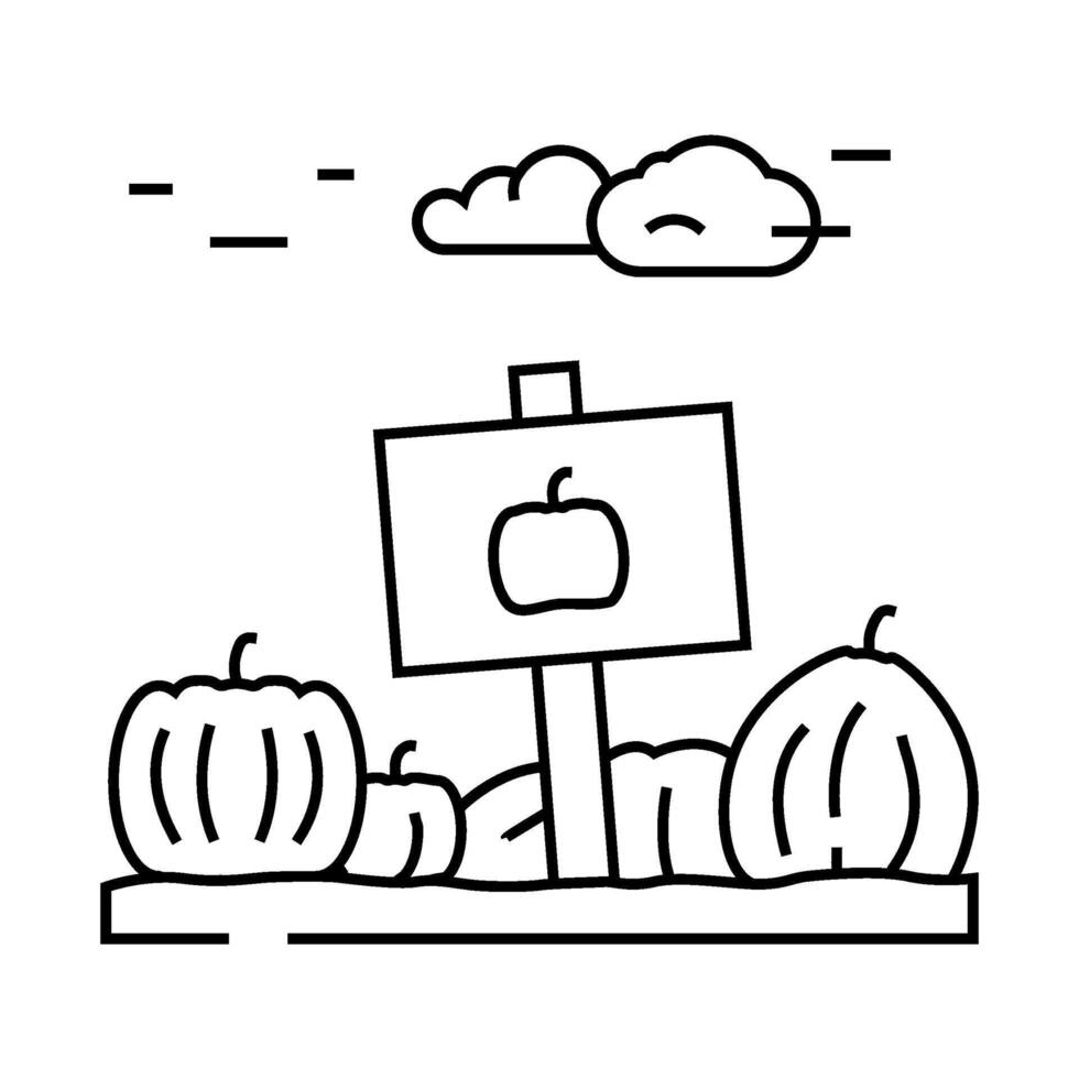 pumpkin patch autumn line icon illustration vector
