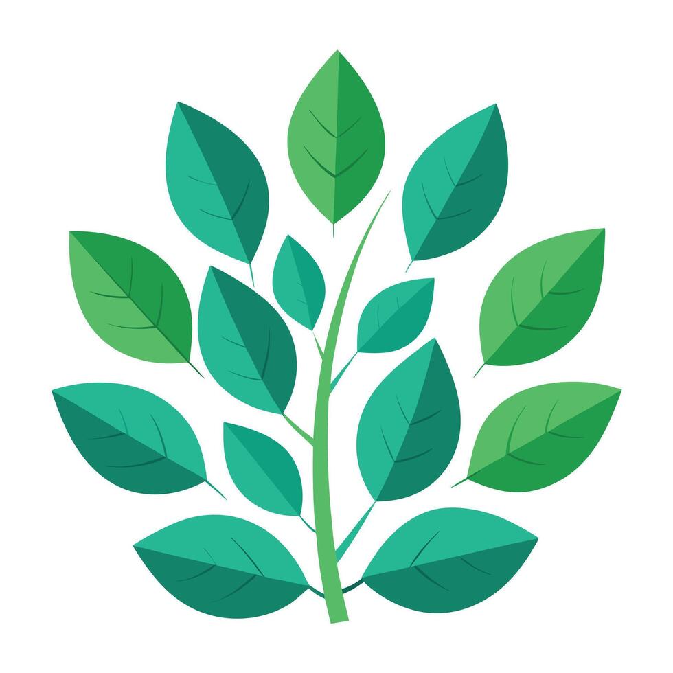 High resolution tree, Tree leaf, Cartoon tree vector