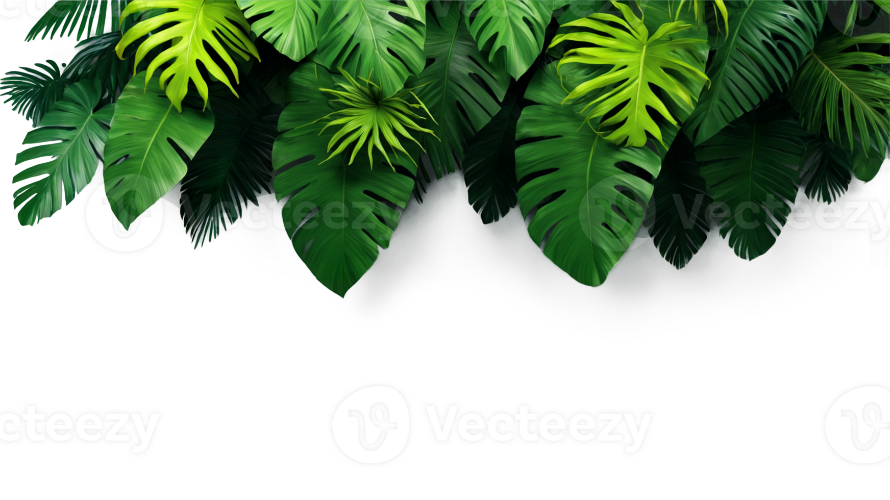 3D Jungle trees on isolated transparent background png