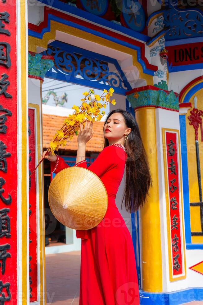 Vietnamese girl with Ao Dai dress standing in traditional house of Vietnam. Text in photo mean best wishes to family, happiness, prosperity, health. Tet holiday and New Year.