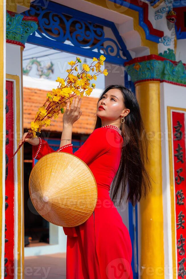 Vietnamese girl with Ao Dai dress standing in traditional house of Vietnam. Text in photo mean best wishes to family, happiness, prosperity, health. Tet holiday and New Year.