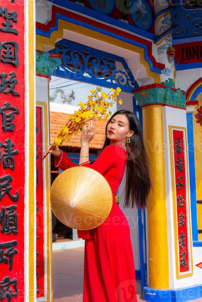 Vietnamese girl with Ao Dai dress standing in traditional house of Vietnam. Text in photo mean best wishes to family, happiness, prosperity, health. Tet holiday and New Year.