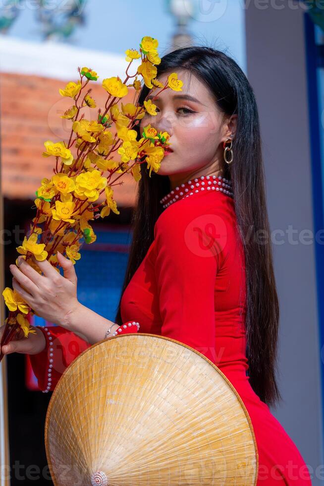 Vietnamese girl with Ao Dai dress standing in traditional house of Vietnam. Text in photo mean best wishes to family, happiness, prosperity, health. Tet holiday and New Year.
