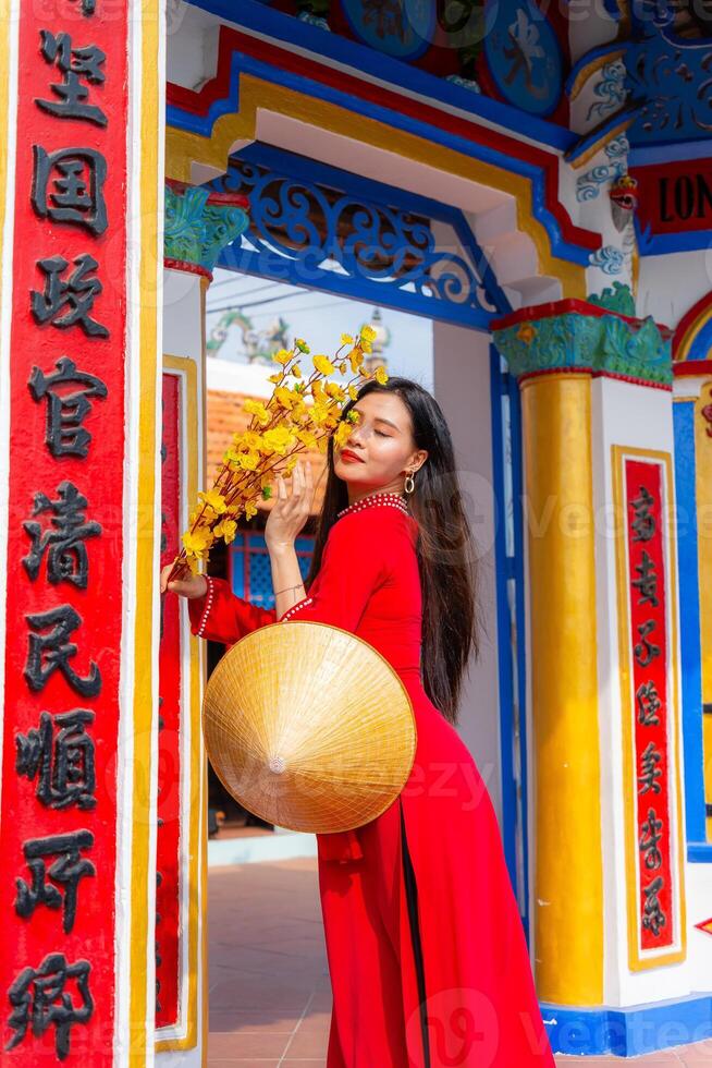 Vietnamese girl with Ao Dai dress standing in traditional house of Vietnam. Text in photo mean best wishes to family, happiness, prosperity, health. Tet holiday and New Year.