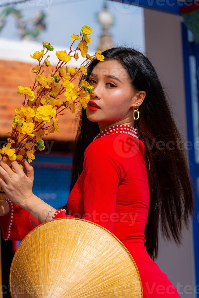 Vietnamese girl with Ao Dai dress standing in traditional house of Vietnam. Text in photo mean best wishes to family, happiness, prosperity, health. Tet holiday and New Year.