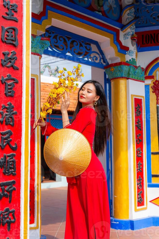Vietnamese girl with Ao Dai dress standing in traditional house of Vietnam. Text in photo mean best wishes to family, happiness, prosperity, health. Tet holiday and New Year.