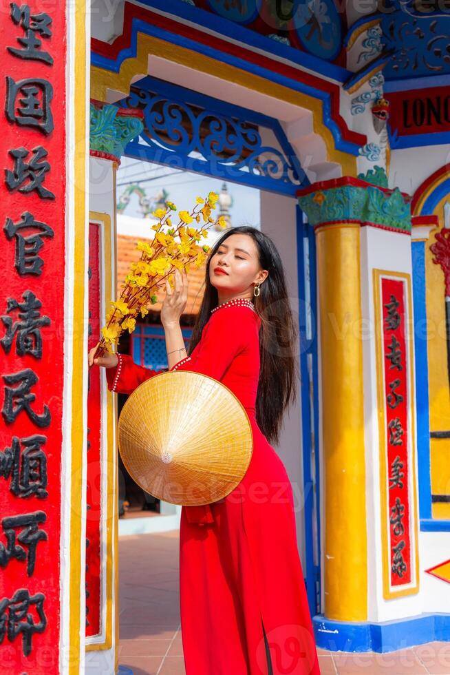 Vietnamese girl with Ao Dai dress standing in traditional house of Vietnam. Text in photo mean best wishes to family, happiness, prosperity, health. Tet holiday and New Year.