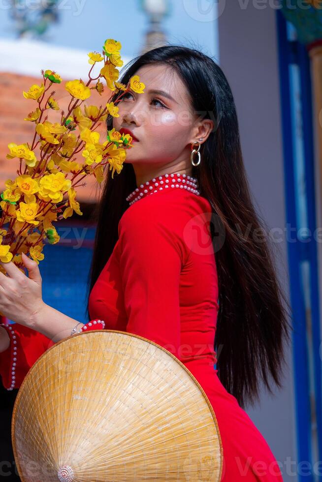 Vietnamese girl with Ao Dai dress standing in traditional house of Vietnam. Text in photo mean best wishes to family, happiness, prosperity, health. Tet holiday and New Year.