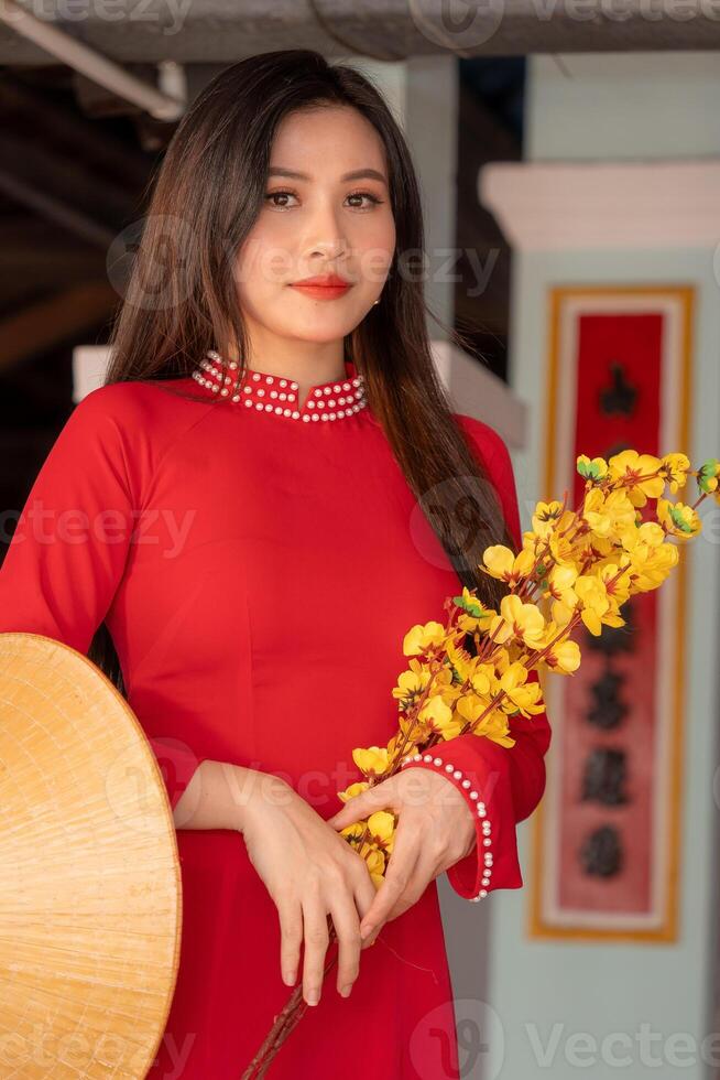 Vietnamese girl with Ao Dai dress standing in traditional house of Vietnam. Text in photo mean best wishes to family, happiness, prosperity, health. Tet holiday and New Year.