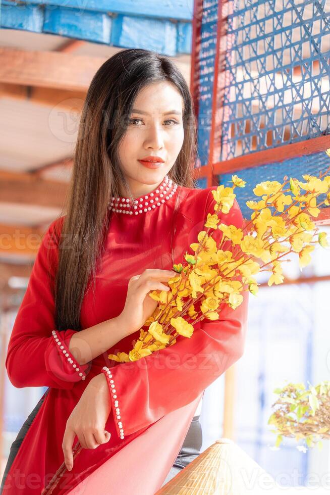 Vietnamese girl with Ao Dai dress standing in traditional house of Vietnam. Text in photo mean best wishes to family, happiness, prosperity, health. Tet holiday and New Year.