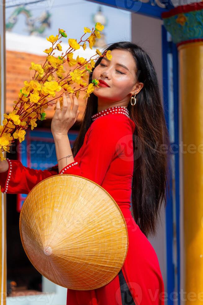Vietnamese girl with Ao Dai dress standing in traditional house of Vietnam. Text in photo mean best wishes to family, happiness, prosperity, health. Tet holiday and New Year.