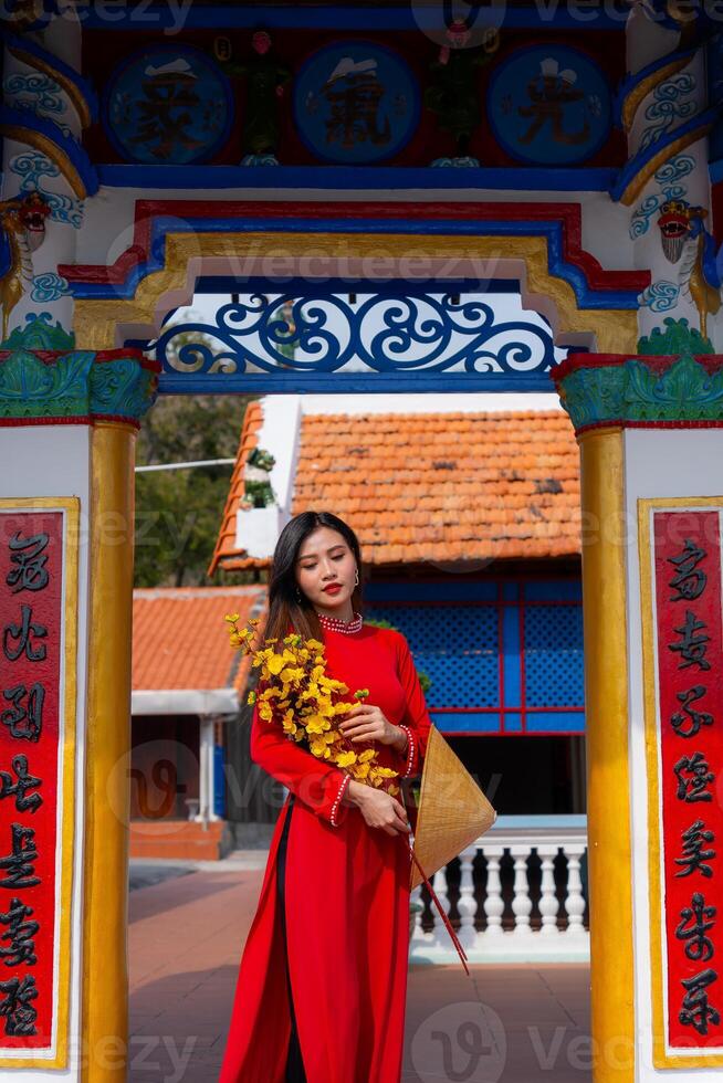 Vietnamese girl with Ao Dai dress standing in traditional house of Vietnam. Text in photo mean best wishes to family, happiness, prosperity, health. Tet holiday and New Year.